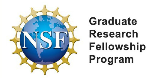 Blue and gold globe logo for the NSF