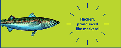 a fish illustration on a bright green background with the words "Hacherl, pronounced like mackerel"