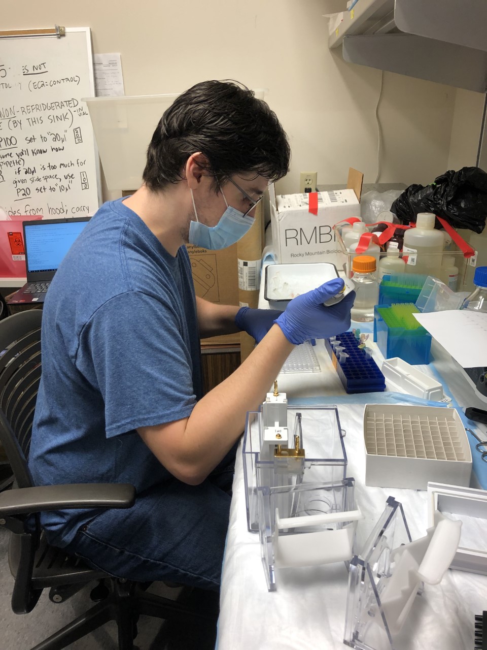 WWU graduate student Brennen Risch working at a lab desk