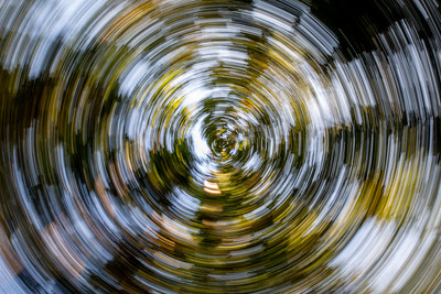 spiral pattern of blurred leaves and sky