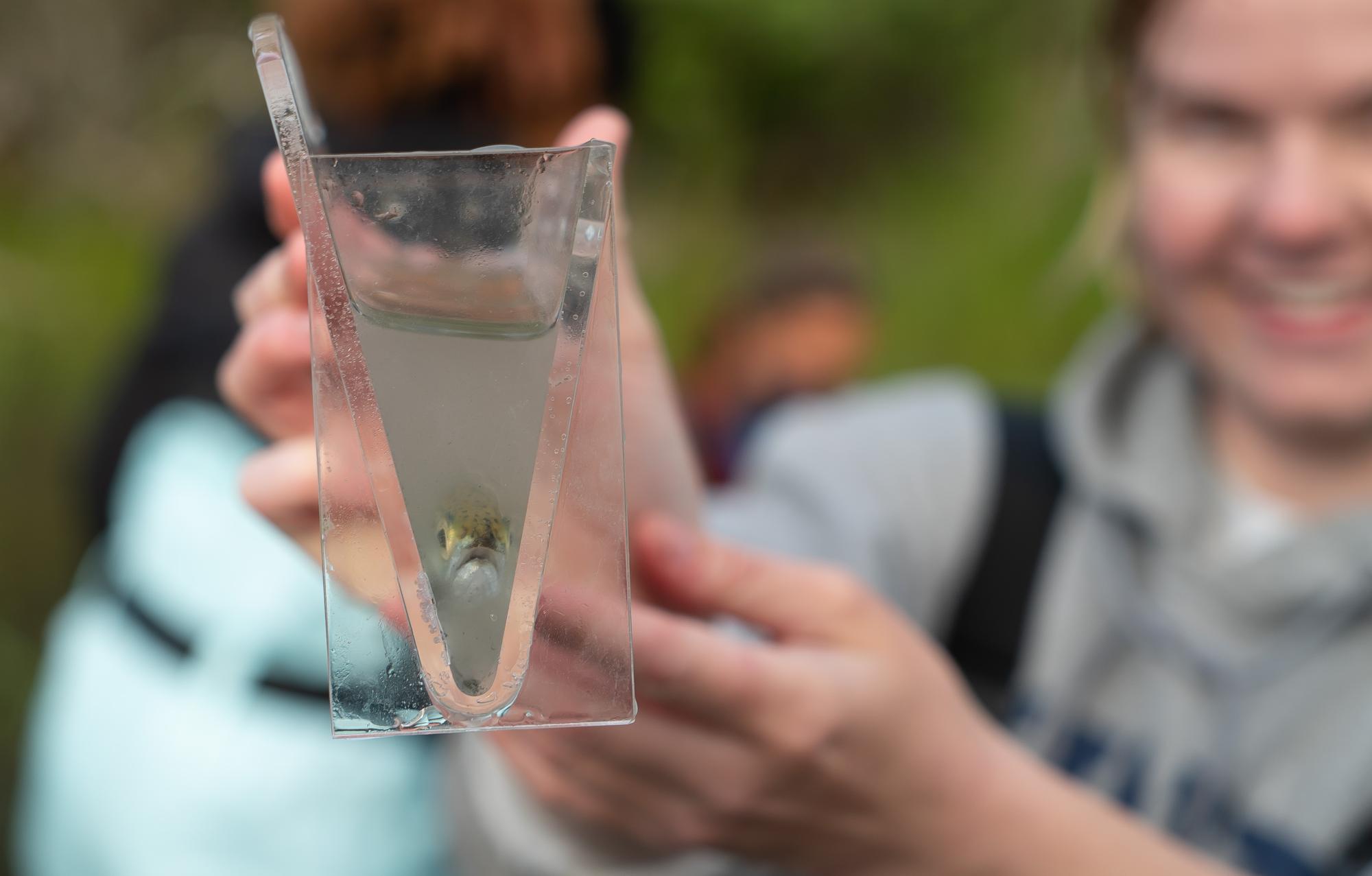 Western Washington University biology student holding a plastic container with water and a fish in it.