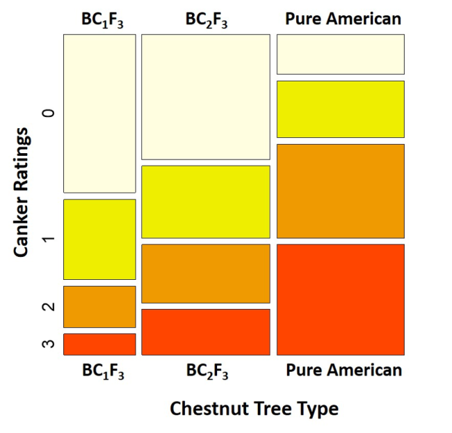sample infographic on chestnut tree canker in red, orange, and yellow
