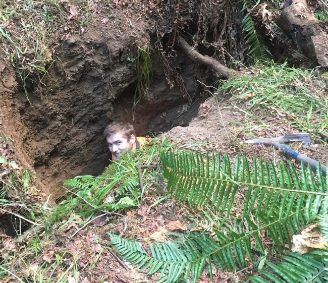 WWU graduate student Cody Duckworth peering out from a trench in the ground with ferns in the foreground