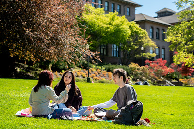 Three students in a circle on the Old Main lawn in the sun having a conversation